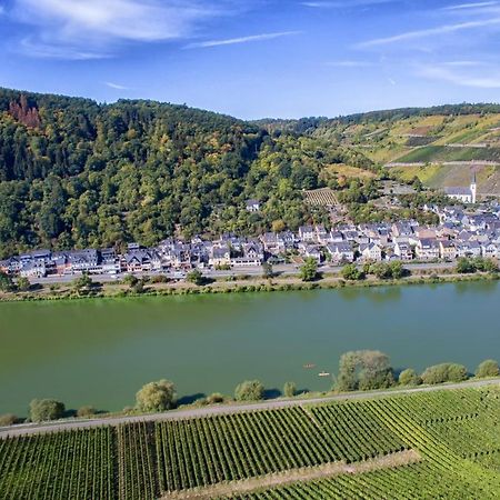 Weingut Pension Gibbert-Pohl Бридел Екстериор снимка