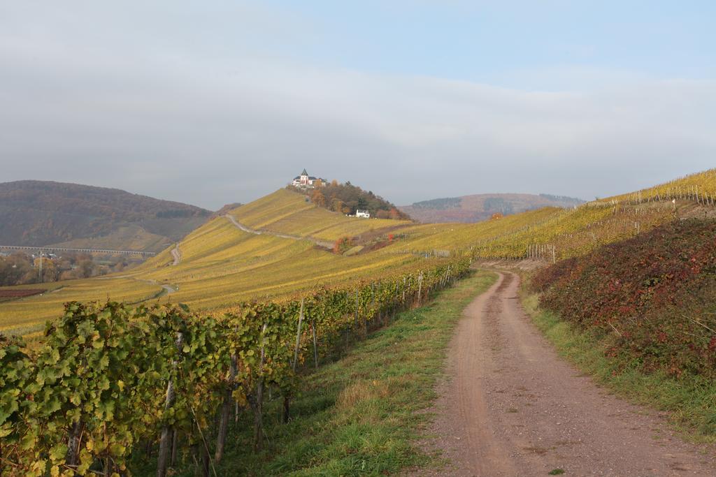 Weingut Pension Gibbert-Pohl Бридел Екстериор снимка