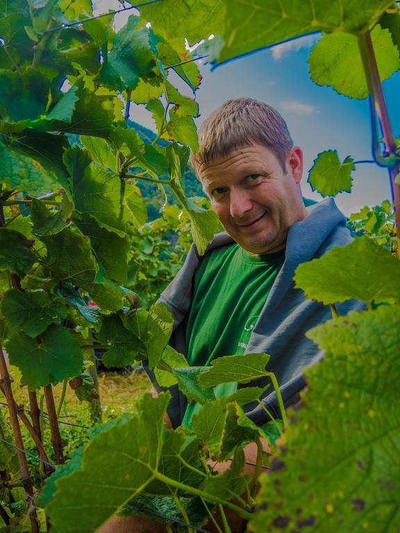 Weingut Pension Gibbert-Pohl Бридел Екстериор снимка