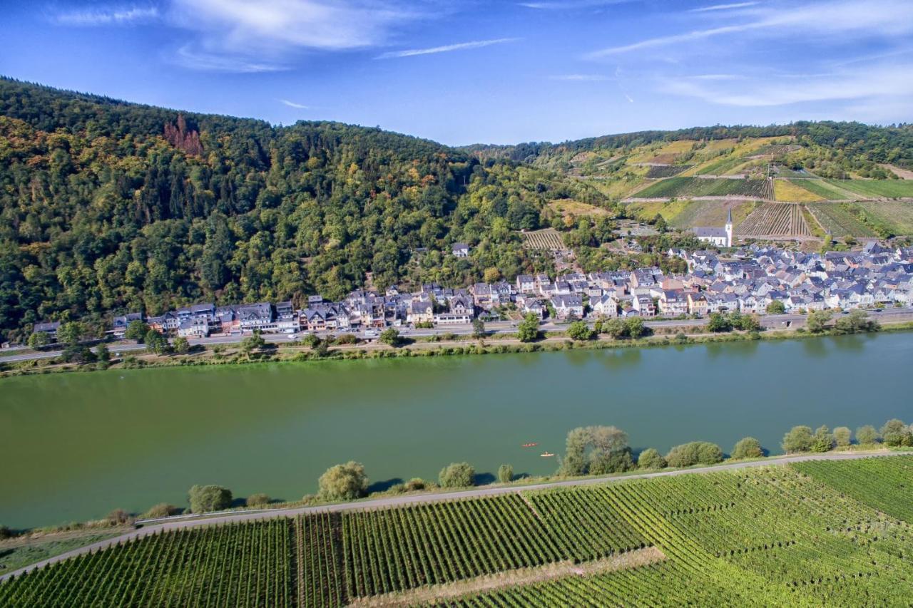 Weingut Pension Gibbert-Pohl Бридел Екстериор снимка